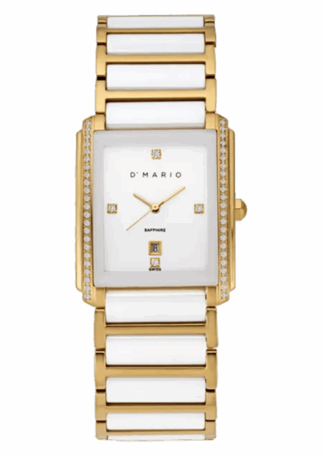 Reloj D'Mario - CS5150GSDB - para Hombre